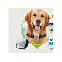 Kyppy GPS nyomkövető nyakörv kutya-macska